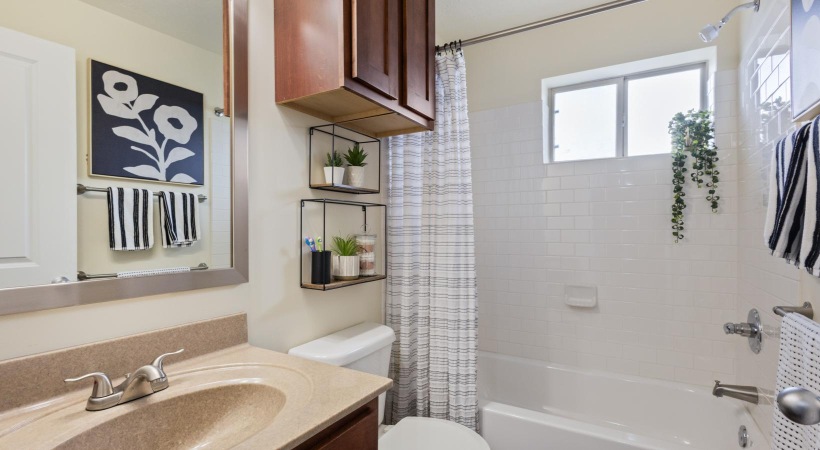 a bathroom with a sink and a toilet